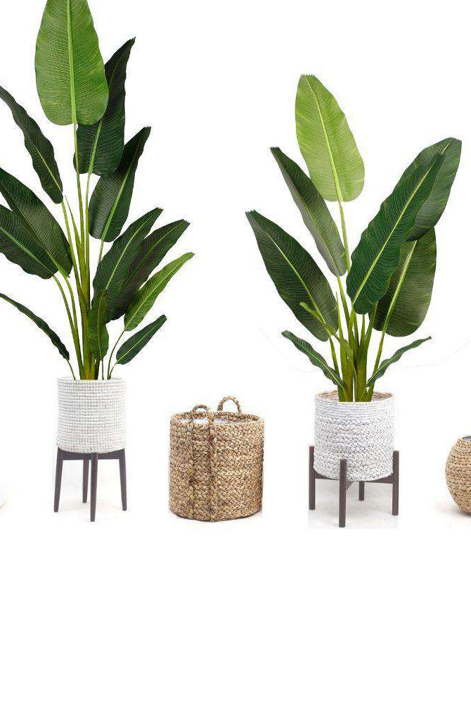 DANI Artificial Travellers Palm Tree Potted Plant (Multiple Sizes) ArtiPlanto