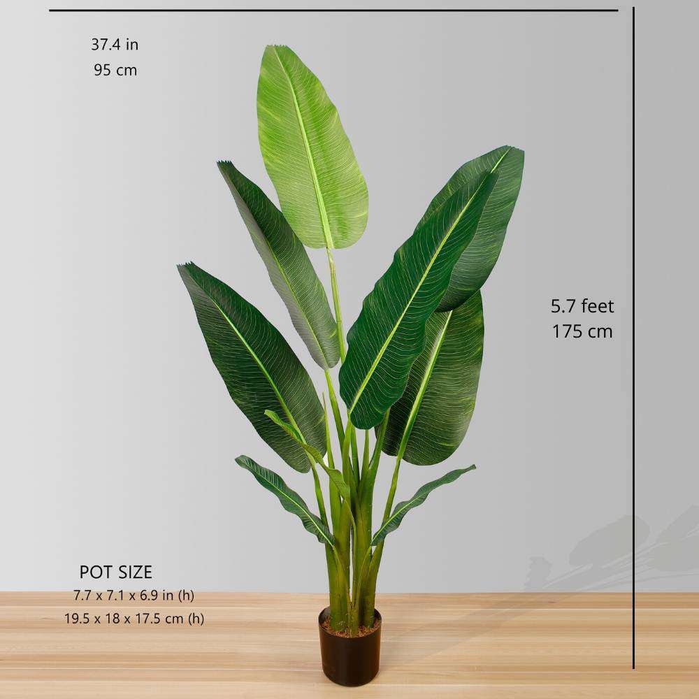 DANI Artificial Travellers Palm Tree Potted Plant (Multiple Sizes) ArtiPlanto