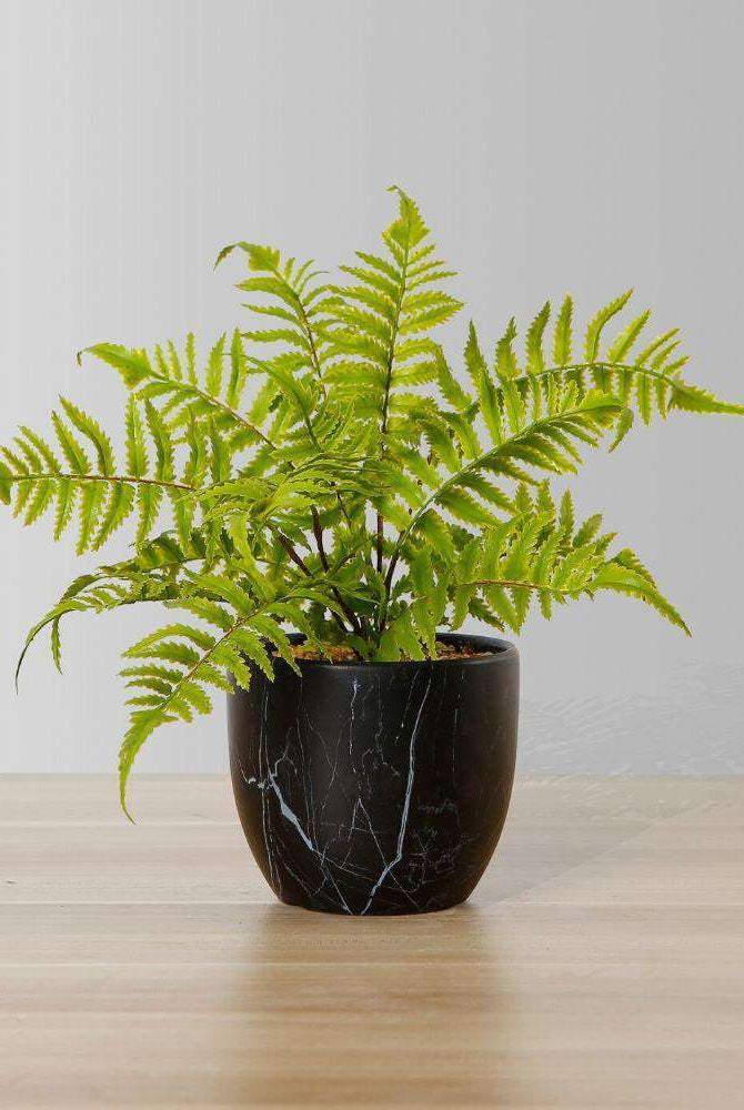 DASA POTTED FAUX FERN ArtiPlanto