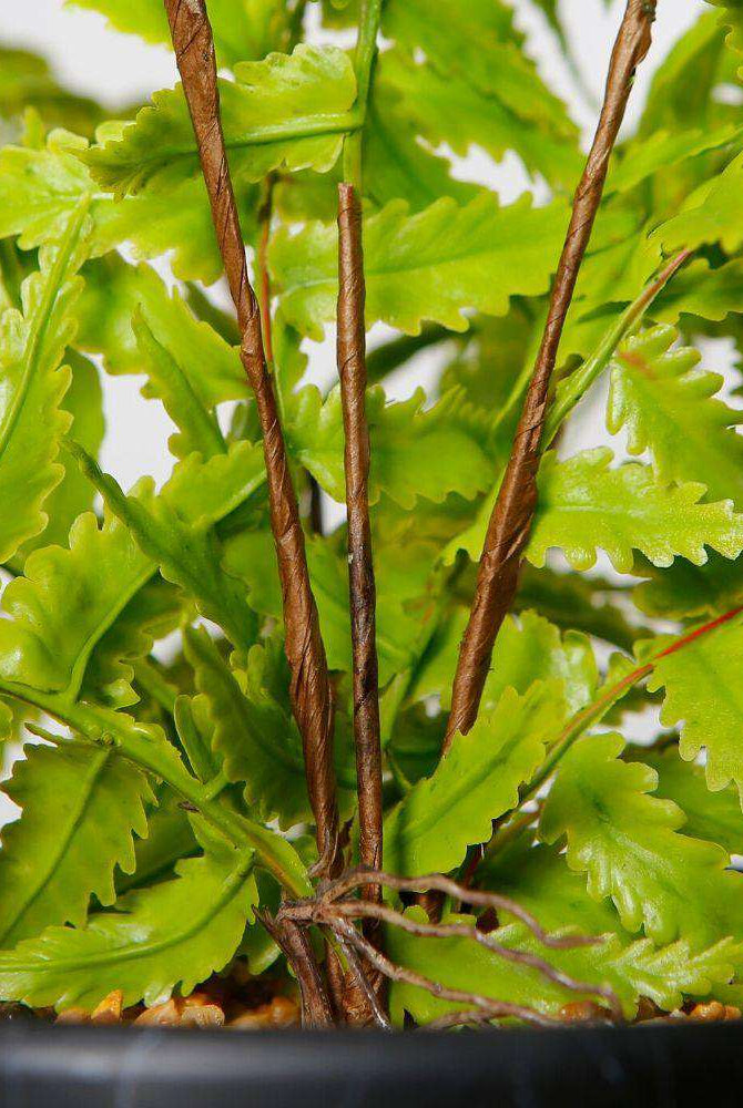 DASA POTTED FAUX FERN ArtiPlanto