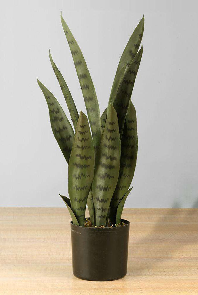 DEZI Artificial Snake Sansevieria Dark Green Potted Plant 21'' ArtiPlanto