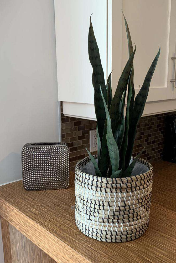 DEZI Artificial Snake Sansevieria Dark Green Potted Plant 21'' ArtiPlanto