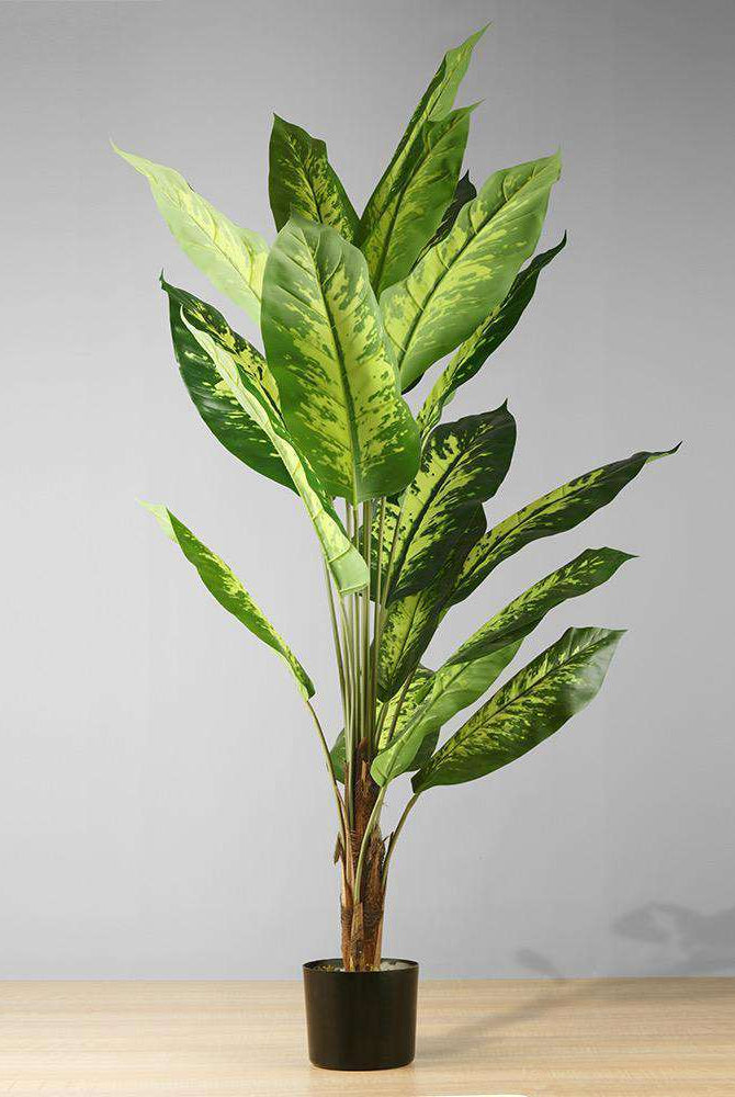 DIRA Artificial Evergreen Potted Plant (MULTIPLE SIZES) ArtiPlanto