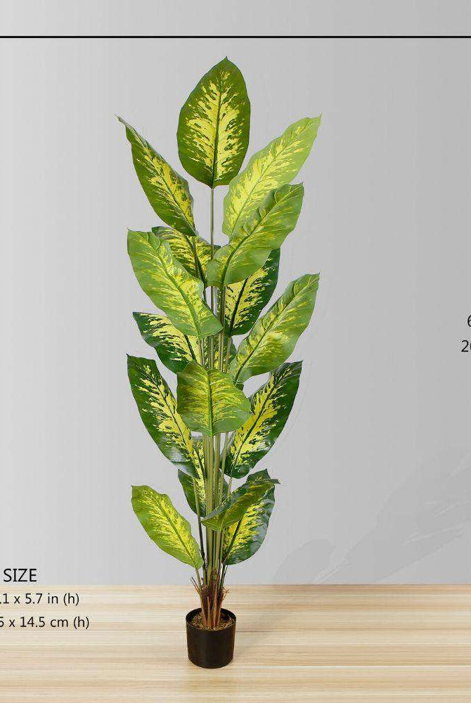 DIRA Artificial Evergreen Potted Plant (MULTIPLE SIZES) ArtiPlanto