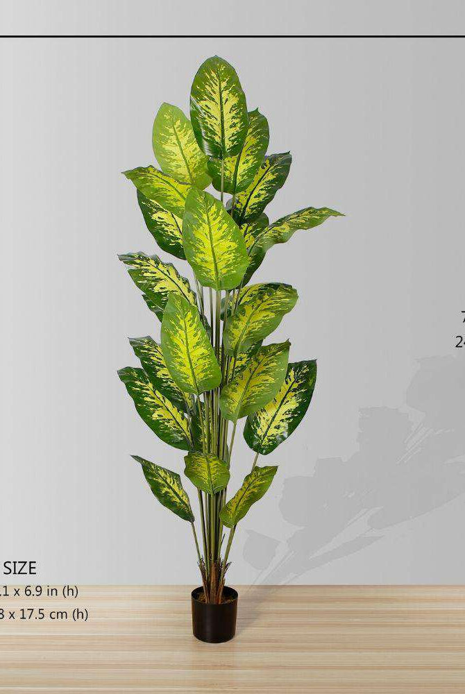 DIRA Artificial Evergreen Potted Plant (MULTIPLE SIZES) ArtiPlanto