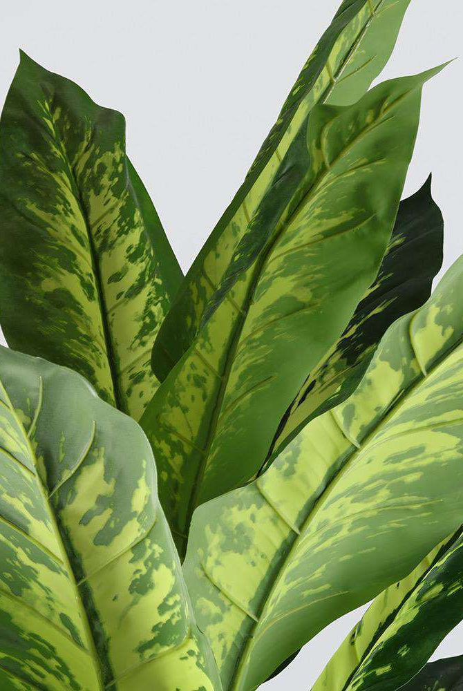 DIRA Artificial Evergreen Potted Plant (MULTIPLE SIZES) ArtiPlanto