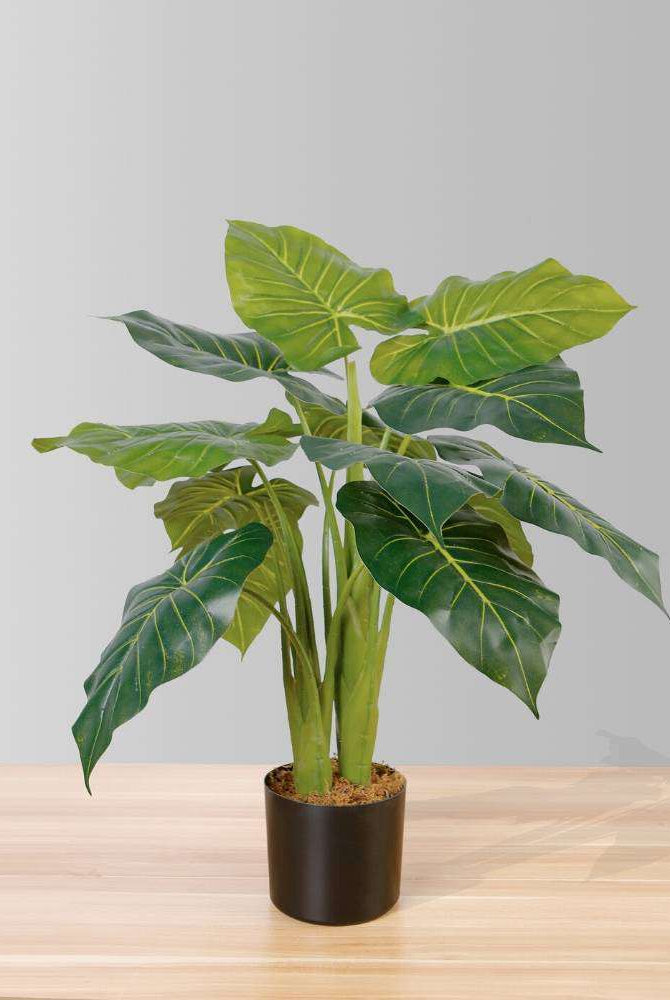DORA ARTIFICIAL ALOCASIA POTTED PLANT 28'' ArtiPlanto
