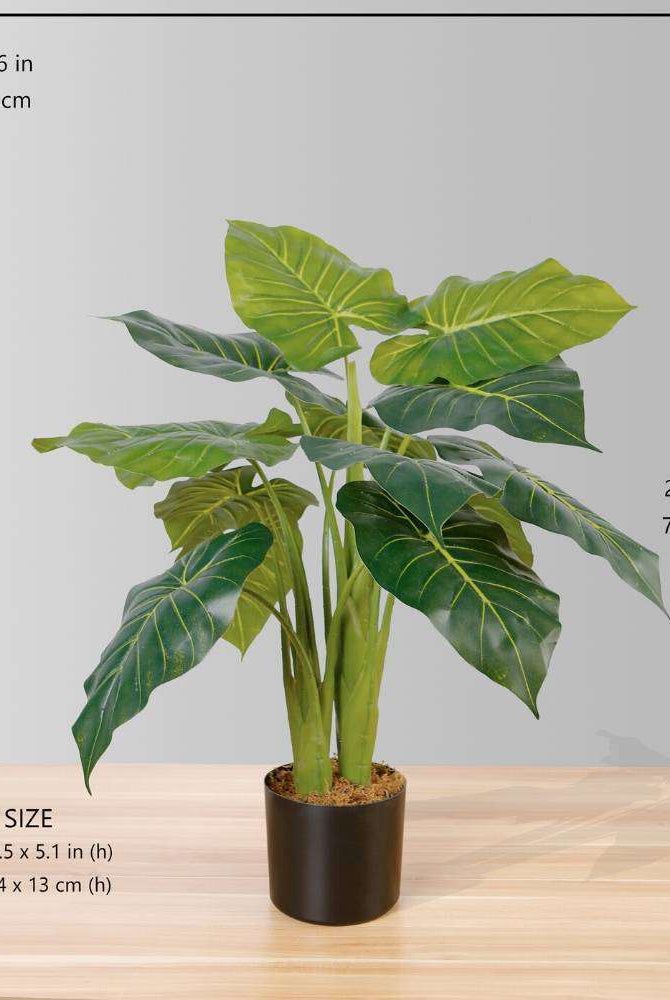 DORA ARTIFICIAL ALOCASIA POTTED PLANT 28'' ArtiPlanto