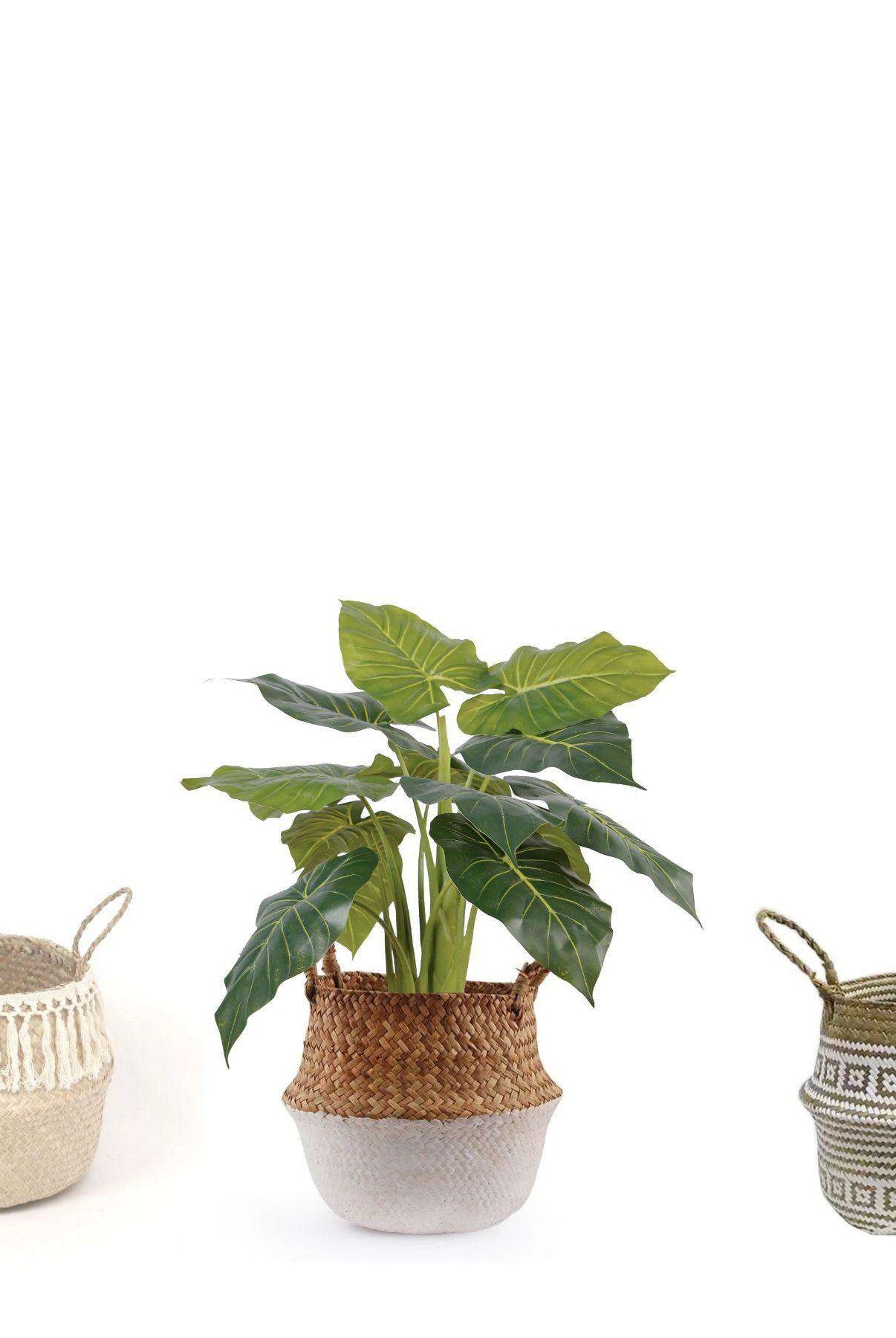 DORA ARTIFICIAL ALOCASIA POTTED PLANT 28'' ArtiPlanto