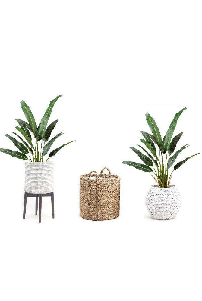 EMMA Artificial Travellers Palm Tree Potted Plant 43'' ArtiPlanto