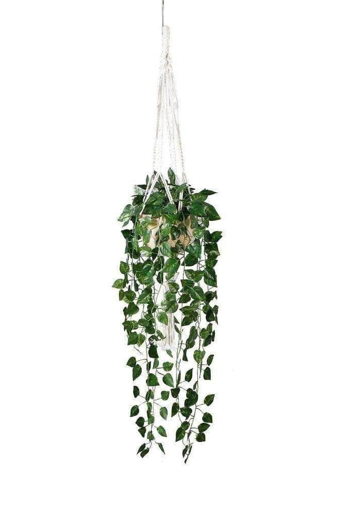 Elrey Faux Potted Macrame Hanging Plant (4.7 Feet) ArtiPlanto