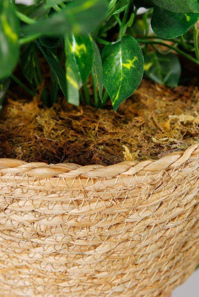 Ennio Faux Potted Hanging Plant (3.9 Feet) ArtiPlanto