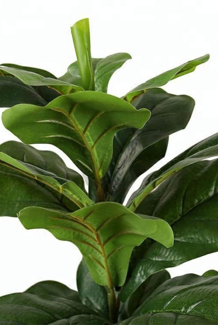 FAFA Artificial Fiddle Leaf Potted Plant (Multiple Sizes) ArtiPlanto