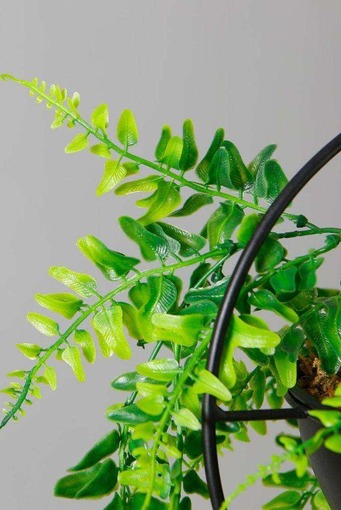 Fabo Faux Potted Hanging Plant (3.2 Feet) ArtiPlanto