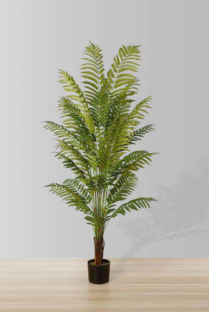 GALI ARTIFICIAL FERN POTTED PLANT 5' ArtiPlanto