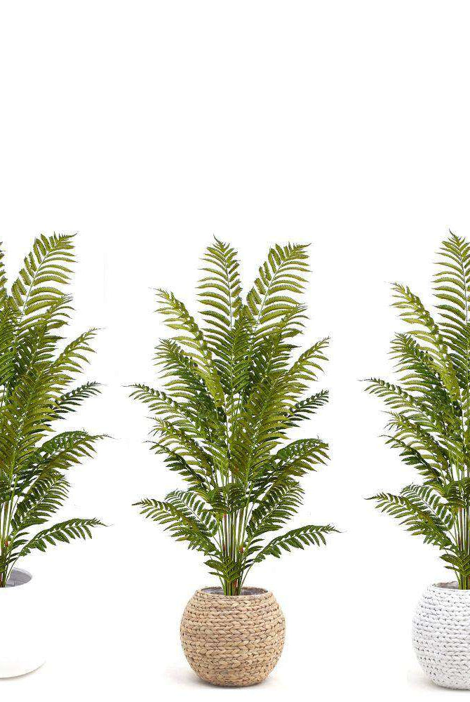 GALI ARTIFICIAL FERN POTTED PLANT 5' ArtiPlanto