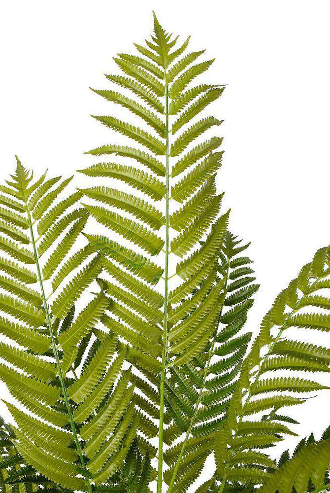 GALI ARTIFICIAL FERN POTTED PLANT 5' ArtiPlanto