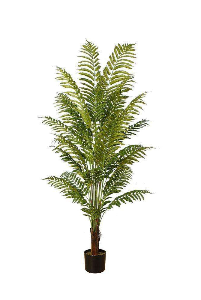 GALI ARTIFICIAL FERN POTTED PLANT 5' ArtiPlanto