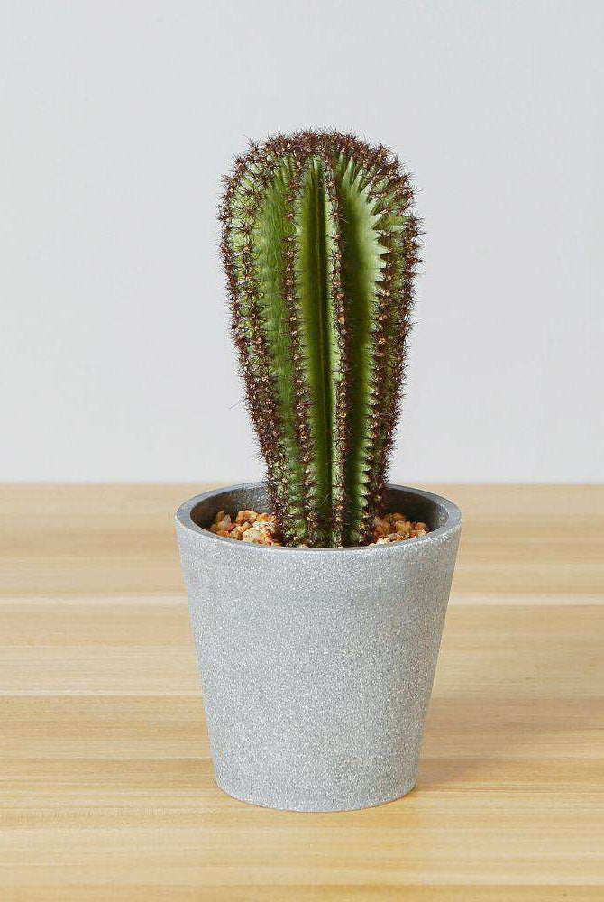 GOZA ARTIFICIAL CACTUS TREE POTTED PLANT 9'' ArtiPlanto