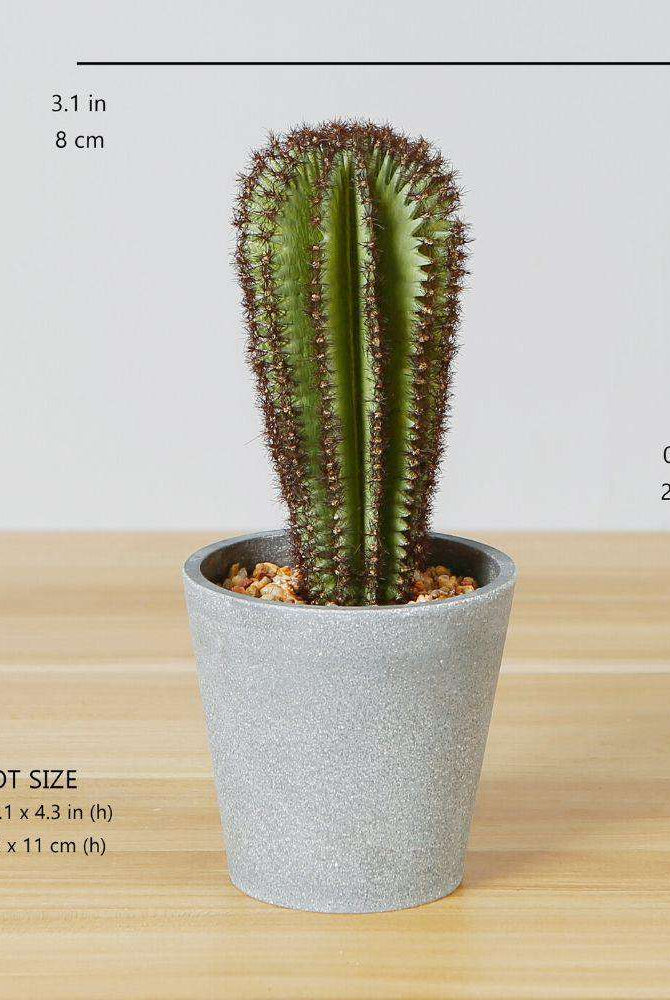 GOZA ARTIFICIAL CACTUS TREE POTTED PLANT 9'' ArtiPlanto