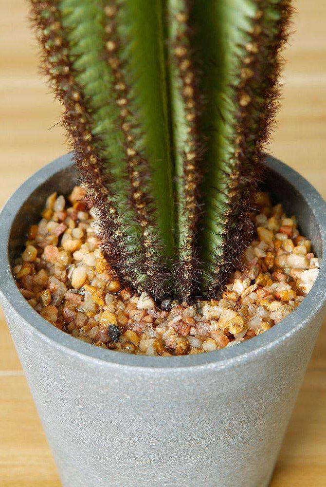 GOZA ARTIFICIAL CACTUS TREE POTTED PLANT 9'' ArtiPlanto