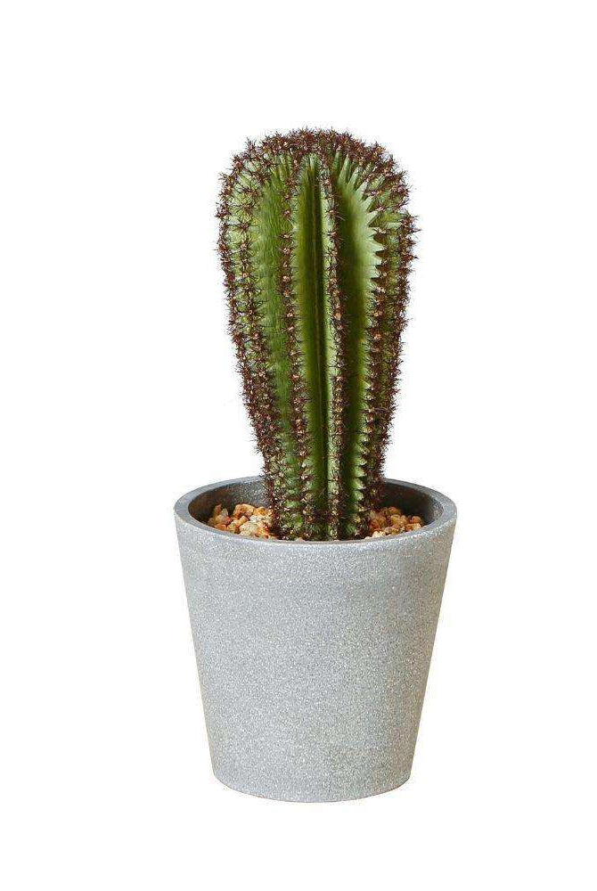 GOZA ARTIFICIAL CACTUS TREE POTTED PLANT 9'' ArtiPlanto