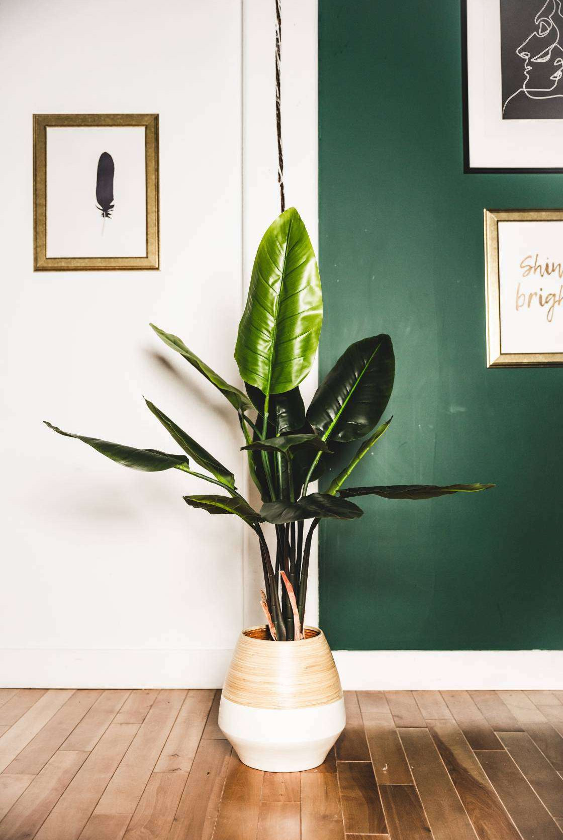 JAVI Artificial Spathiphyllum Leaf Potted Plant 51" ArtiPlanto