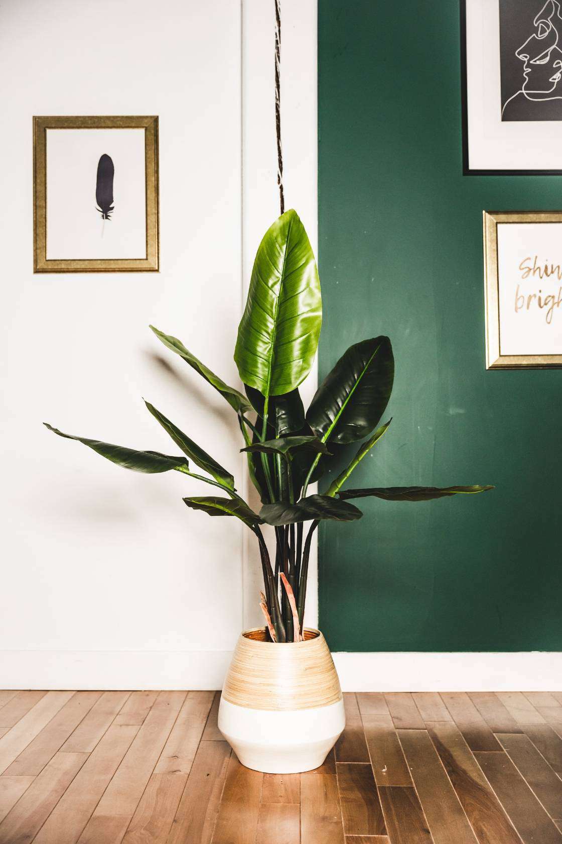 JAVI Artificial Spathiphyllum Leaf Potted Plant 51" ArtiPlanto