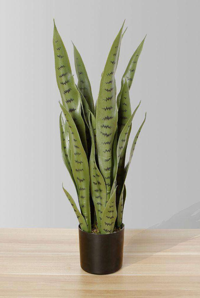 JOSE ARTIFICIAL SNAKE SANSEVIERIA DARK GREEN POTTED PLANT 26' ArtiPlanto