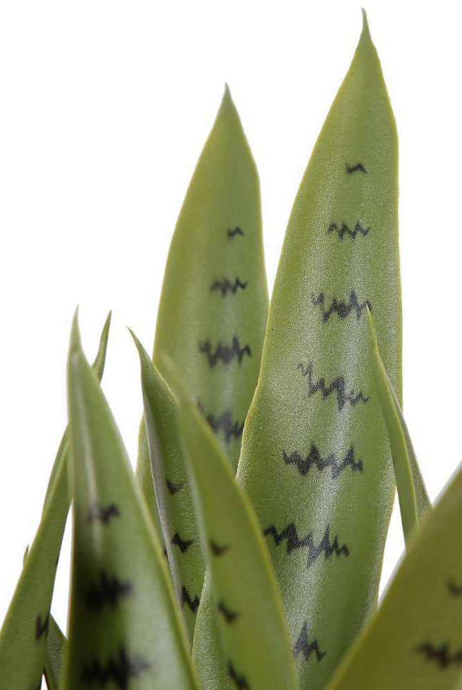 JOSE ARTIFICIAL SNAKE SANSEVIERIA DARK GREEN POTTED PLANT 26' ArtiPlanto