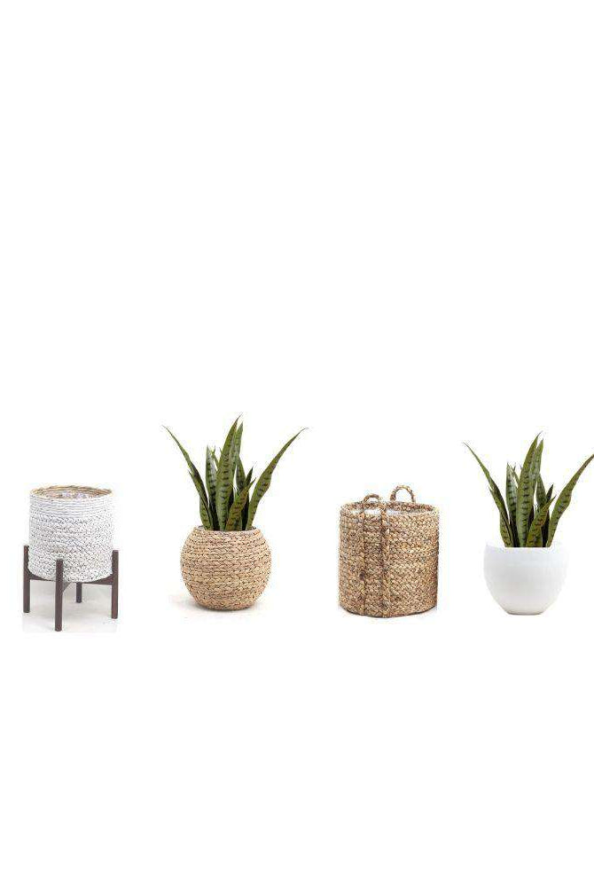 JOSE ARTIFICIAL SNAKE SANSEVIERIA DARK GREEN POTTED PLANT 26' ArtiPlanto