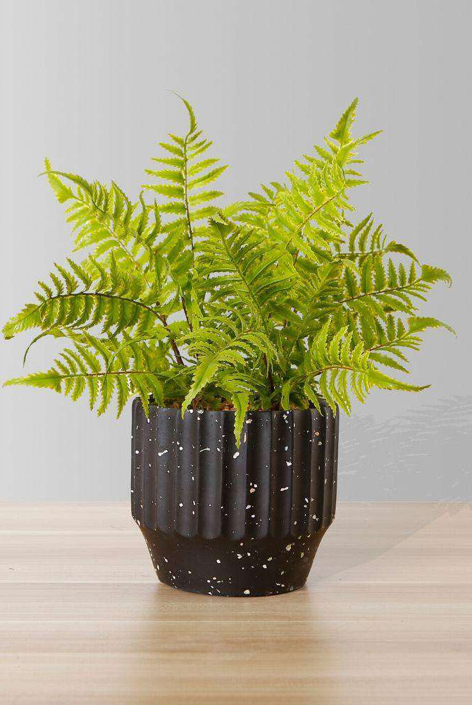 JULA POTTED FAUX FERN ArtiPlanto
