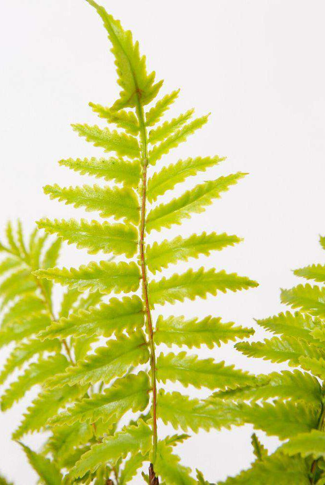 JULA POTTED FAUX FERN ArtiPlanto