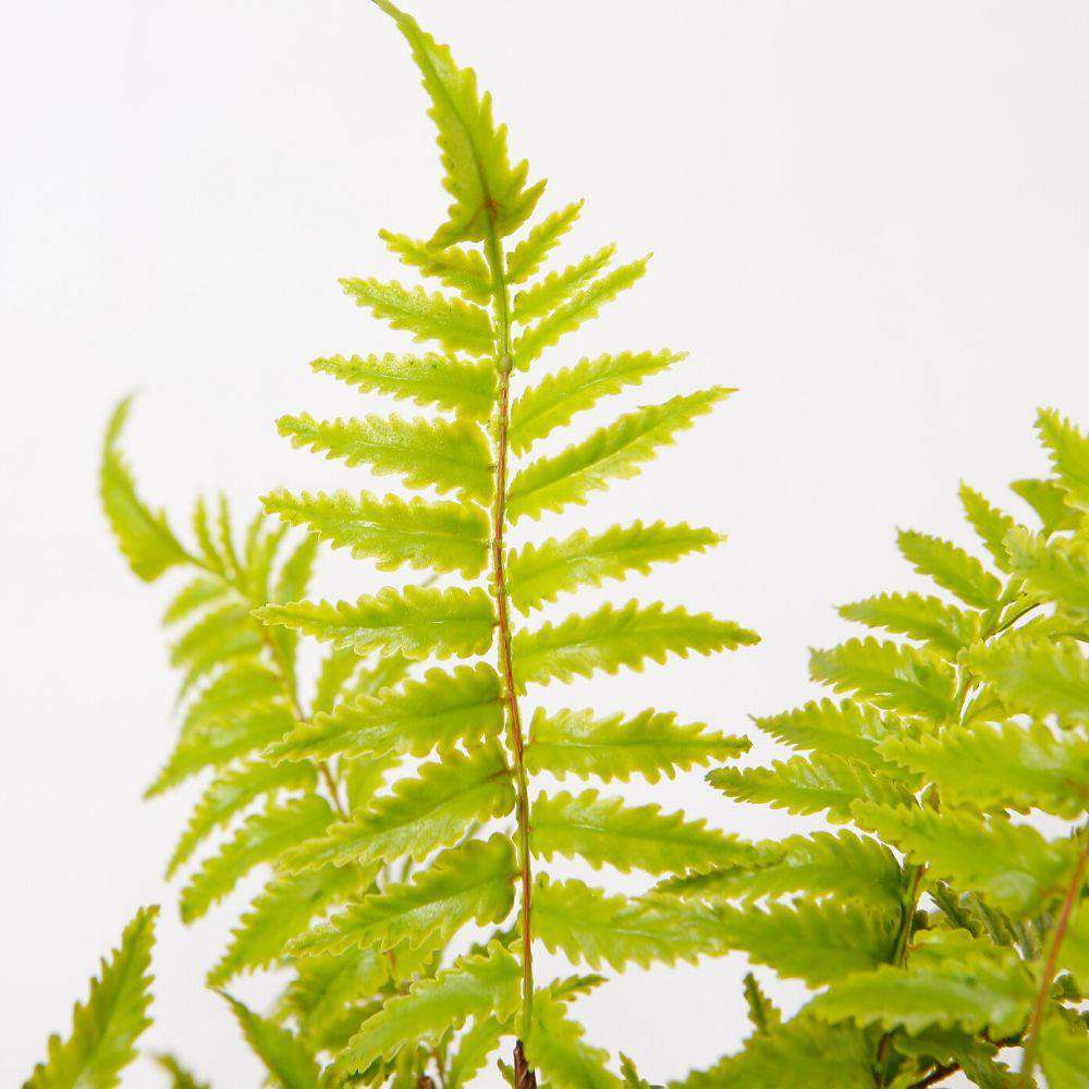 JULA POTTED FAUX FERN ArtiPlanto