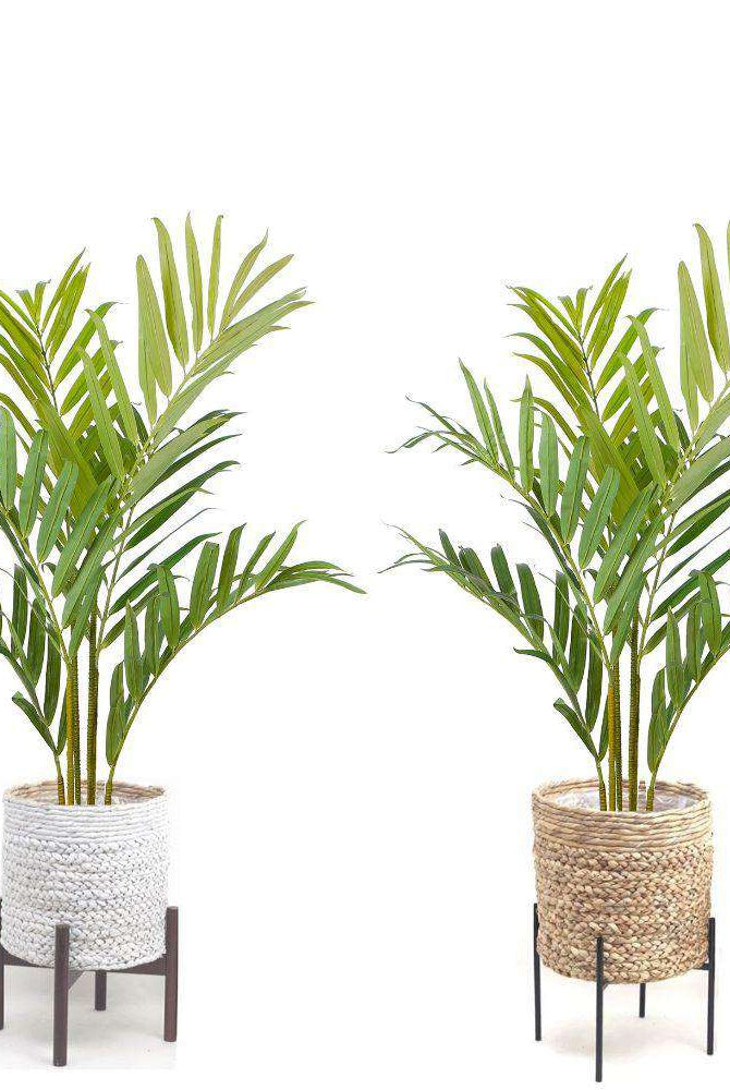 KENTIA ARTIFICIAL KING PALM POTTED PLANT 5' ArtiPlanto
