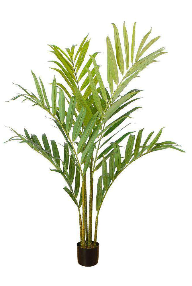 KENTIA ARTIFICIAL KING PALM POTTED PLANT 5' ArtiPlanto