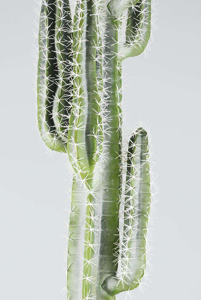 KETZAL Artificial Cactus Potted Plant 7' ArtiPlanto