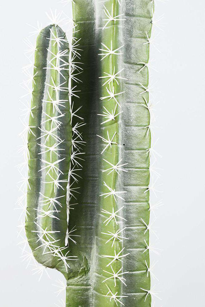 KETZAL Artificial Cactus Potted Plant 7' ArtiPlanto