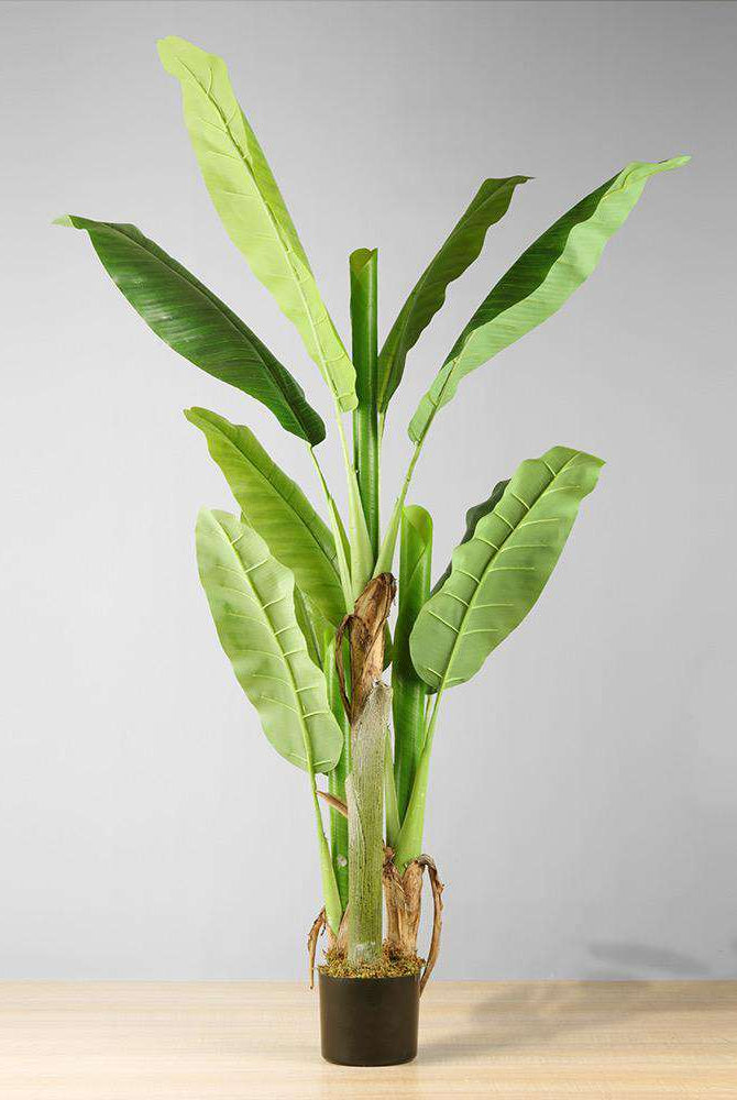 KIKI Artificial Banana Tree Potted Plant 55'' ArtiPlanto
