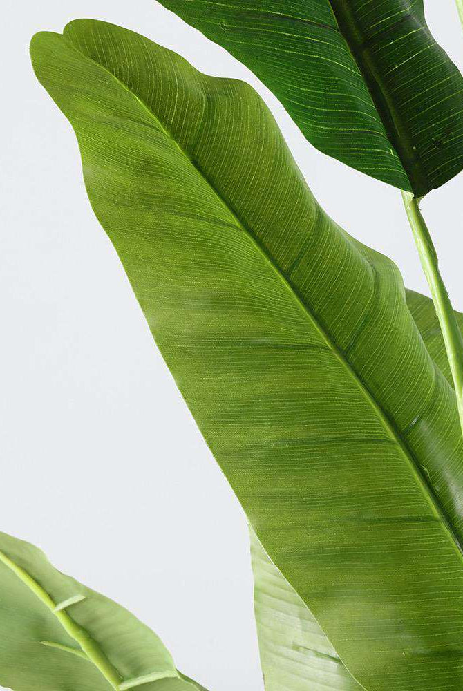 KIKI Artificial Banana Tree Potted Plant 55'' ArtiPlanto