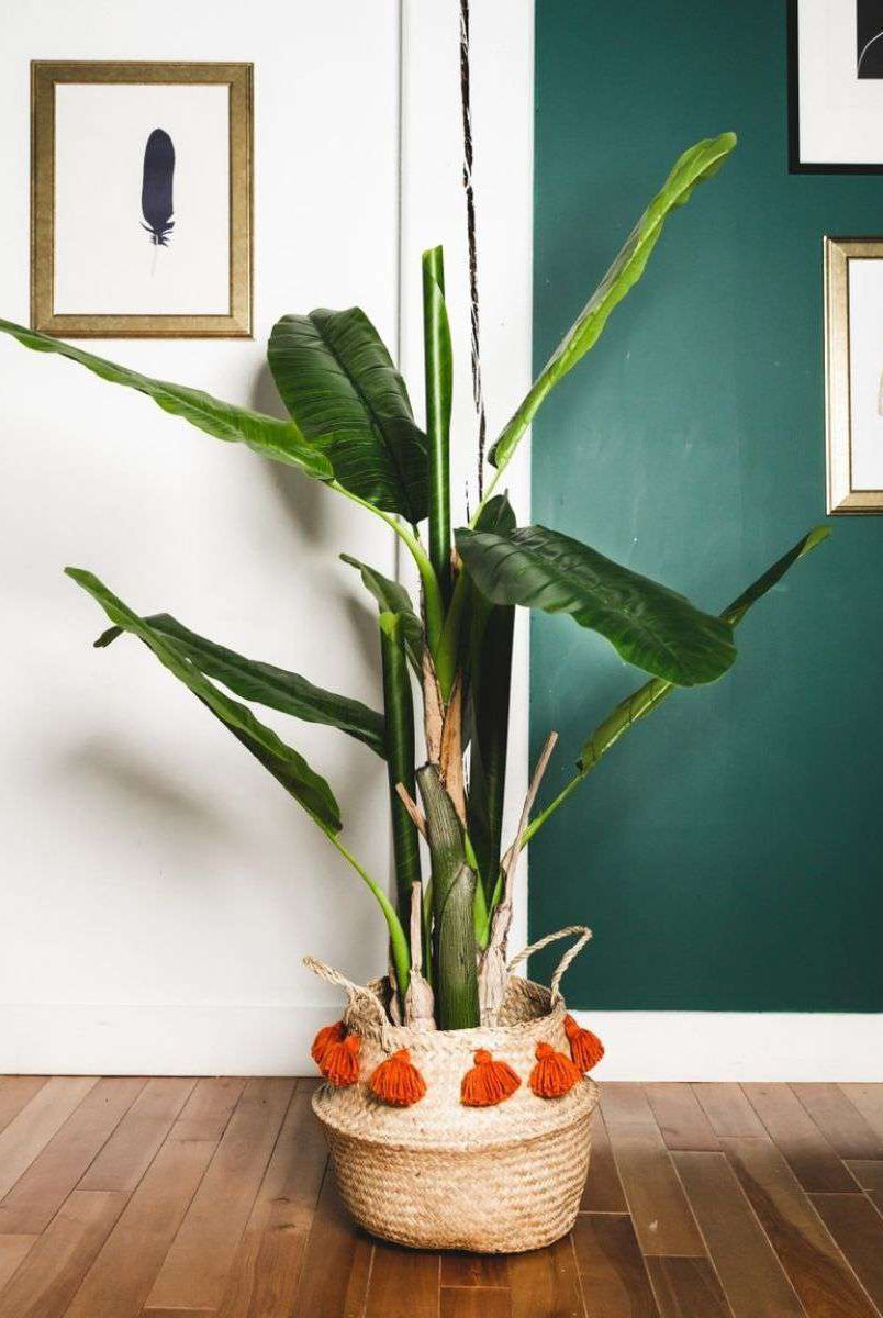 KIKI Artificial Banana Tree Potted Plant 55'' ArtiPlanto