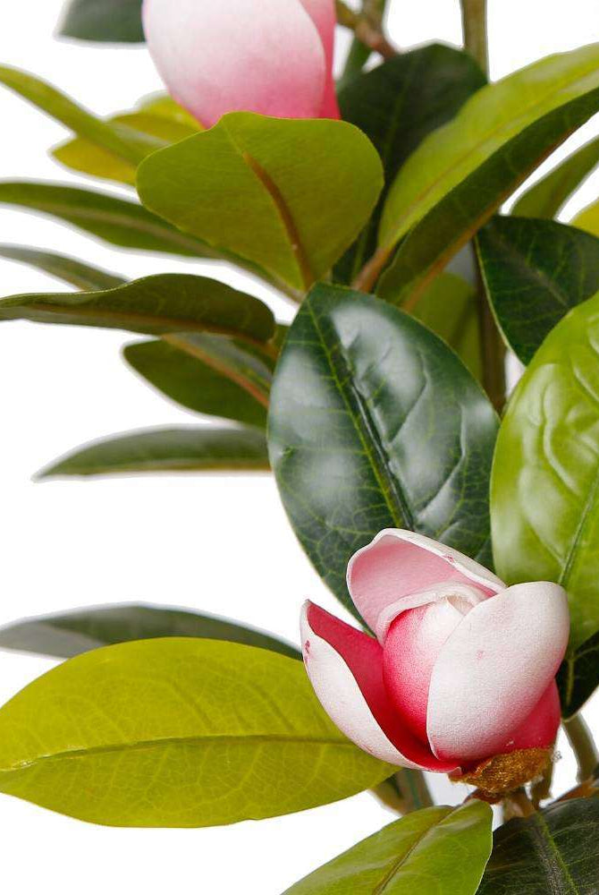 KIRA ARTIFICIAL MAGNOLIA TREE POTTED PLANT 28'' ArtiPlanto