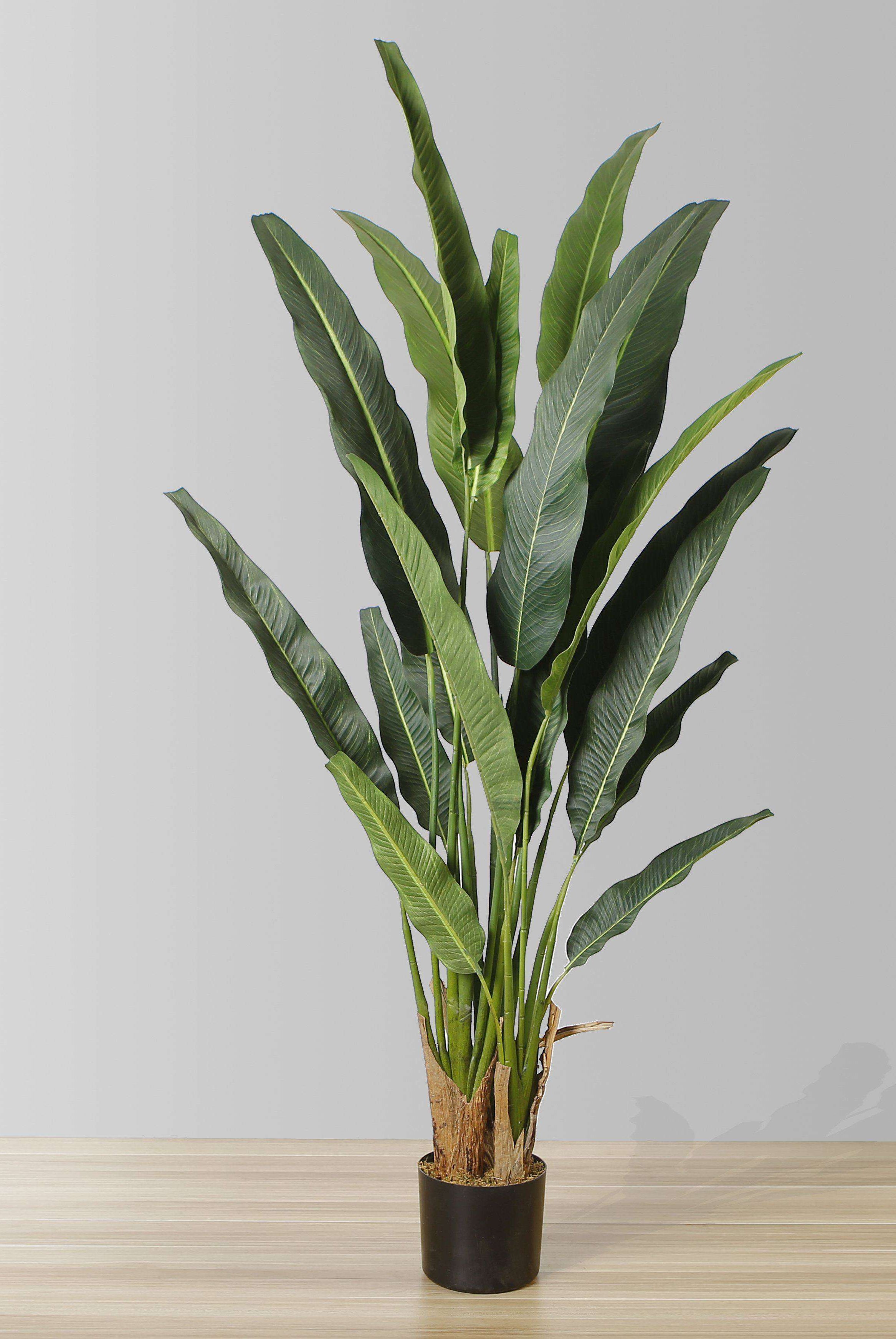 KOLA Artificial Travellers Palm Tree Potted Plant (Multiple Sizes) ArtiPlanto