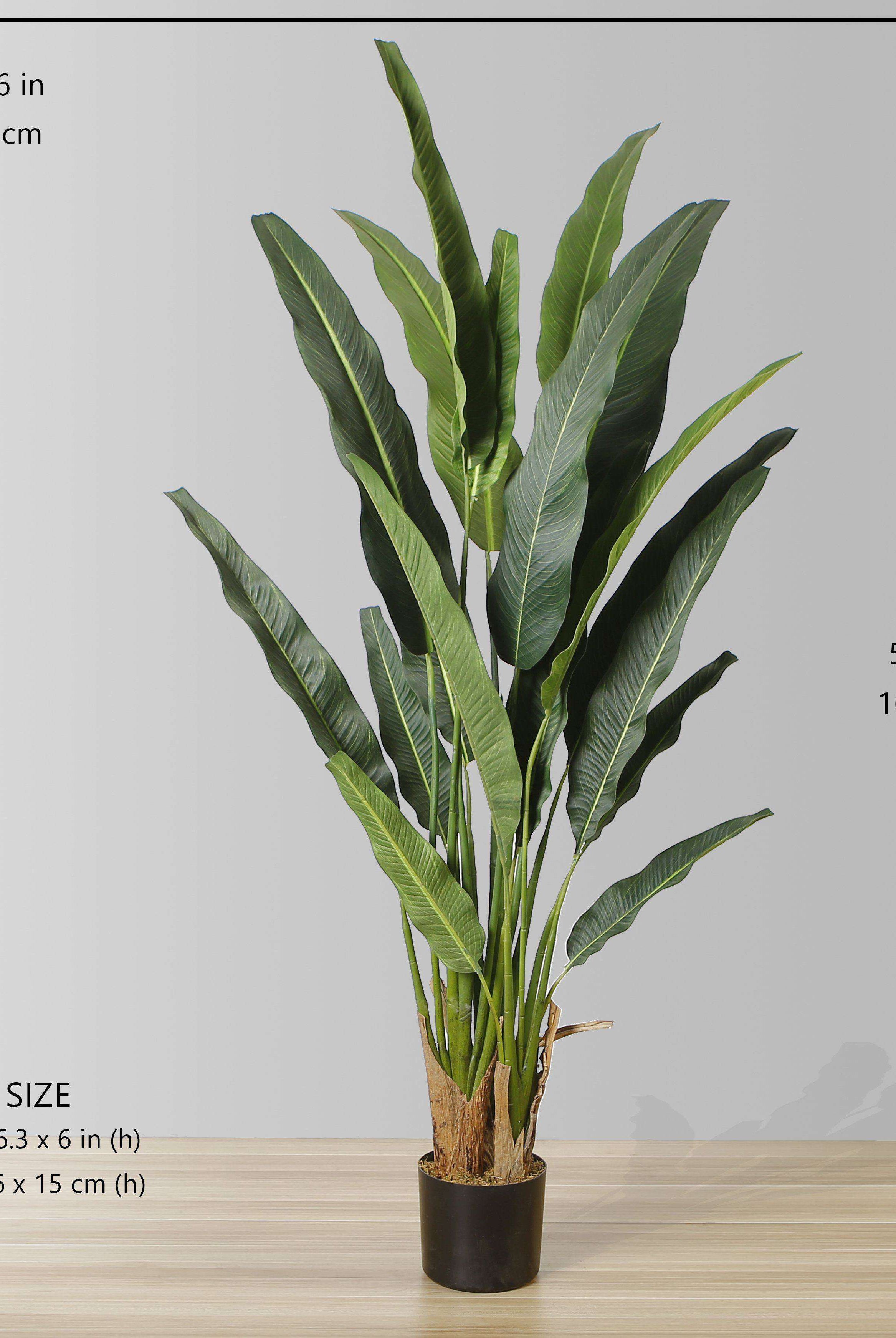KOLA Artificial Travellers Palm Tree Potted Plant (Multiple Sizes) ArtiPlanto