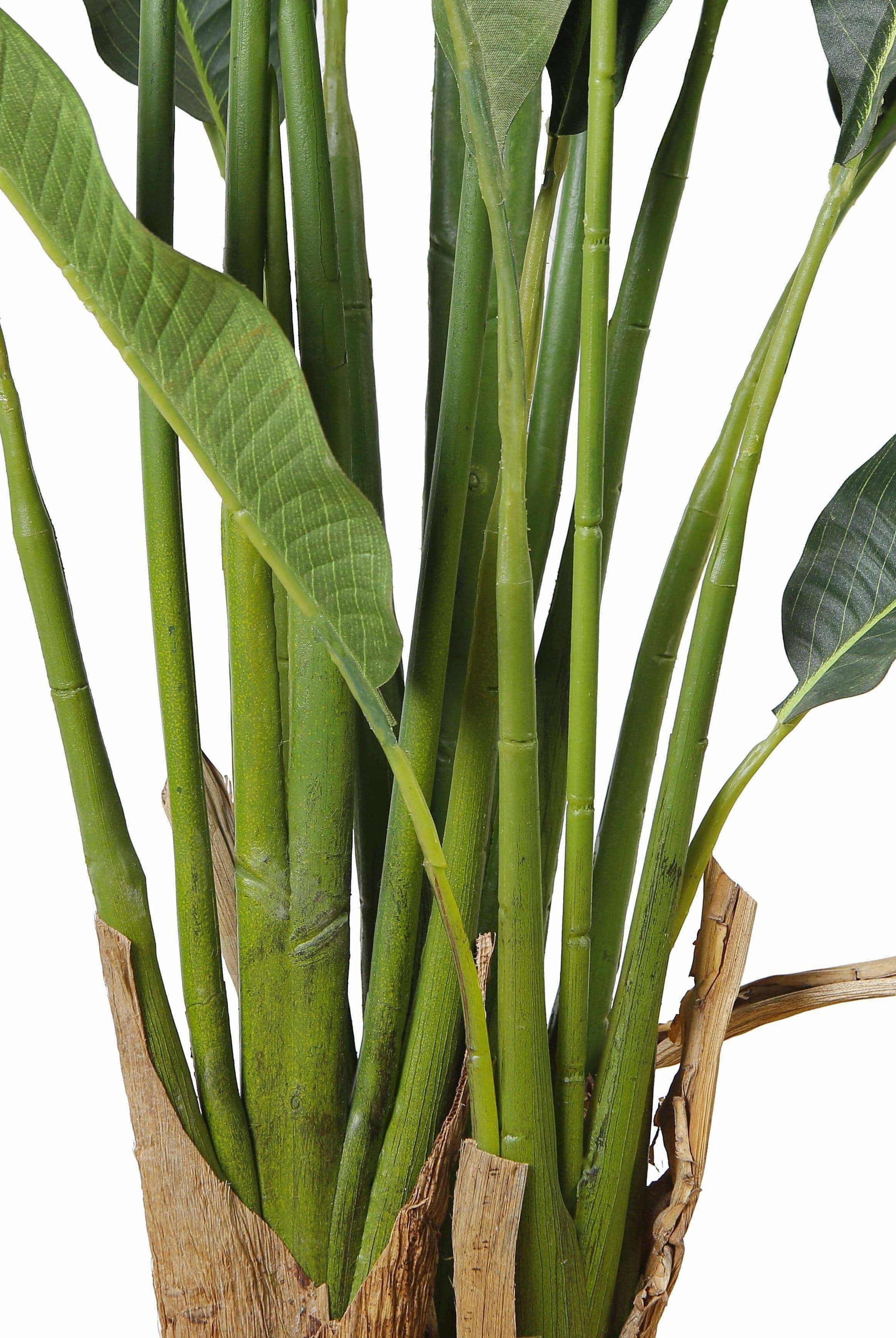 KOLA Artificial Travellers Palm Tree Potted Plant (Multiple Sizes) ArtiPlanto
