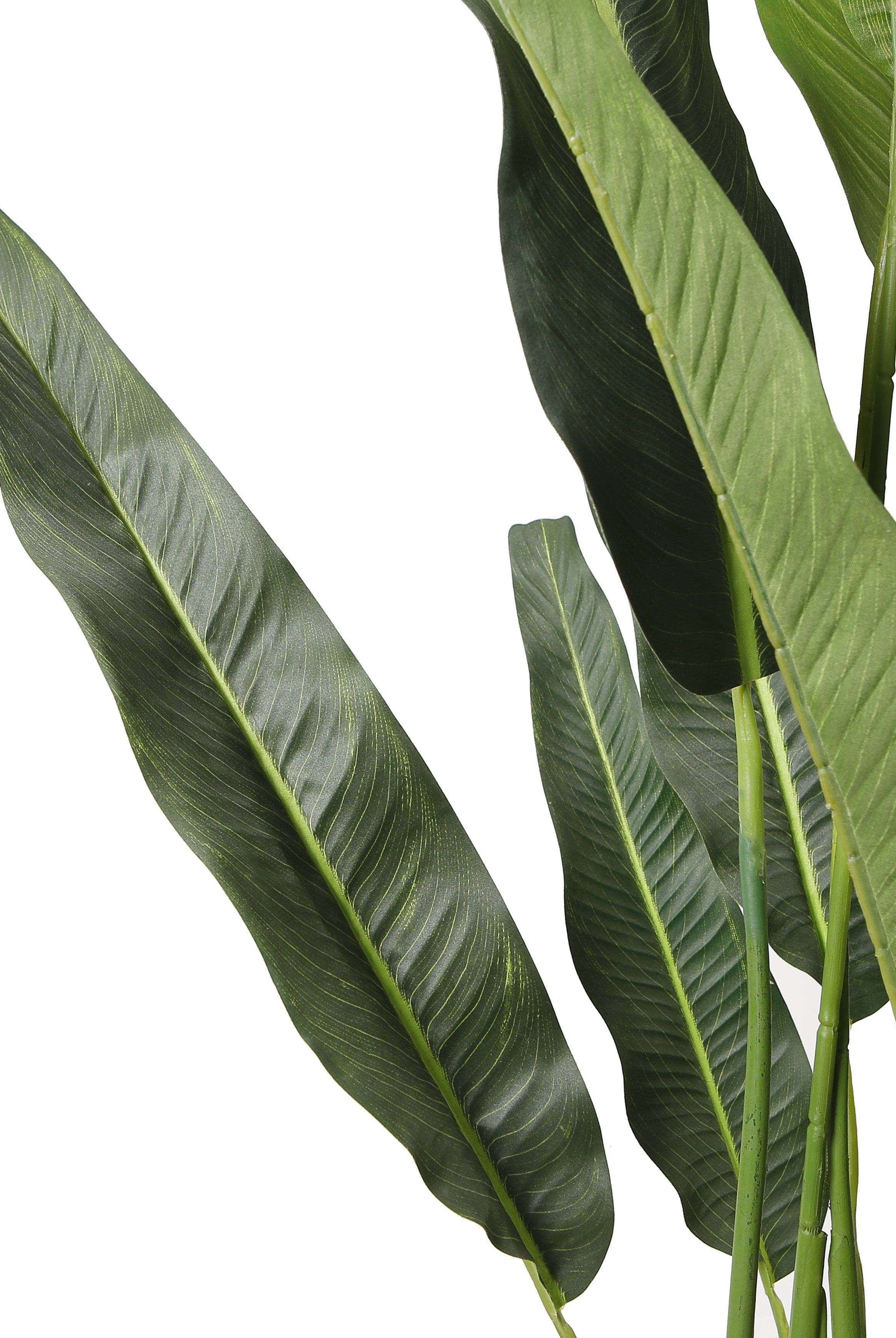 KOLA Artificial Travellers Palm Tree Potted Plant (Multiple Sizes) ArtiPlanto