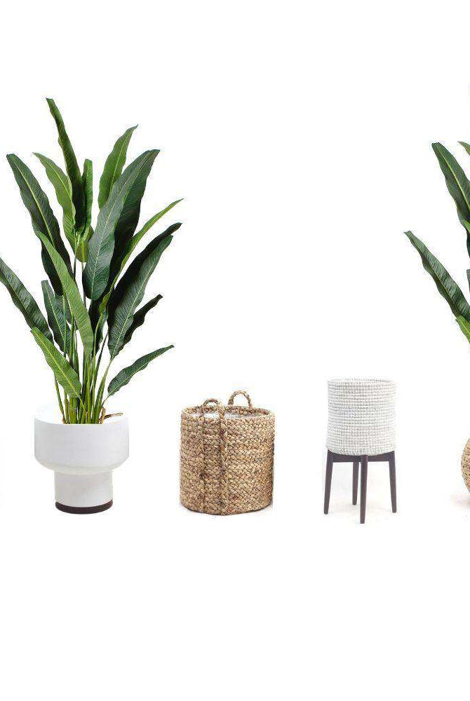 KOLA Artificial Travellers Palm Tree Potted Plant (Multiple Sizes) ArtiPlanto