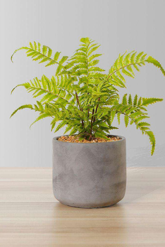 KUTA POTTED FAUX FERN ArtiPlanto