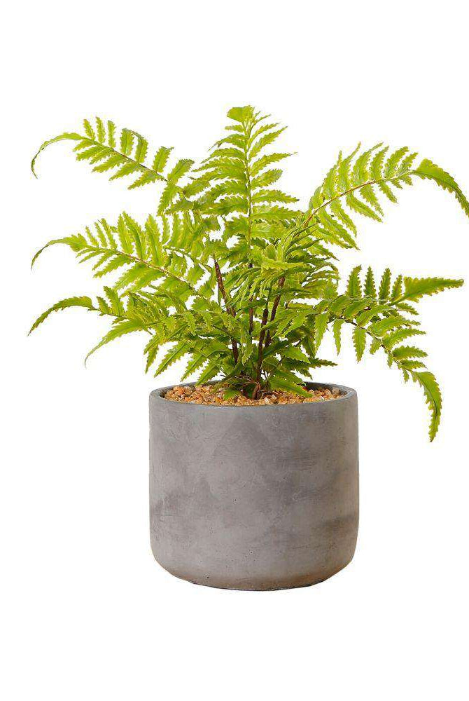 KUTA POTTED FAUX FERN ArtiPlanto
