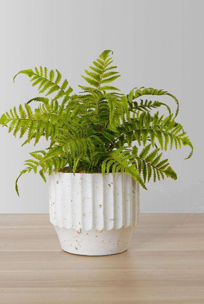 KUWU POTTED FAUX FERN ArtiPlanto